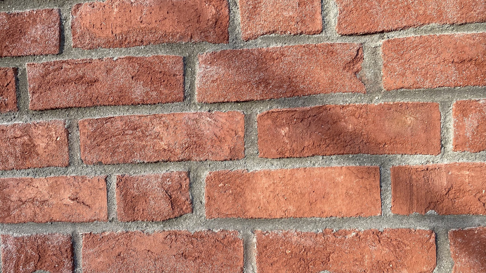 2020.04.04_Die_neue_Feuerwache_waechst_05