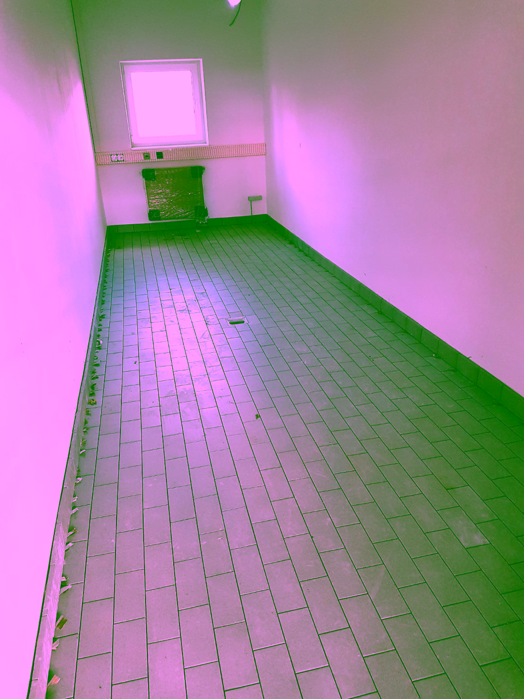 20201016_112751 (Groß)