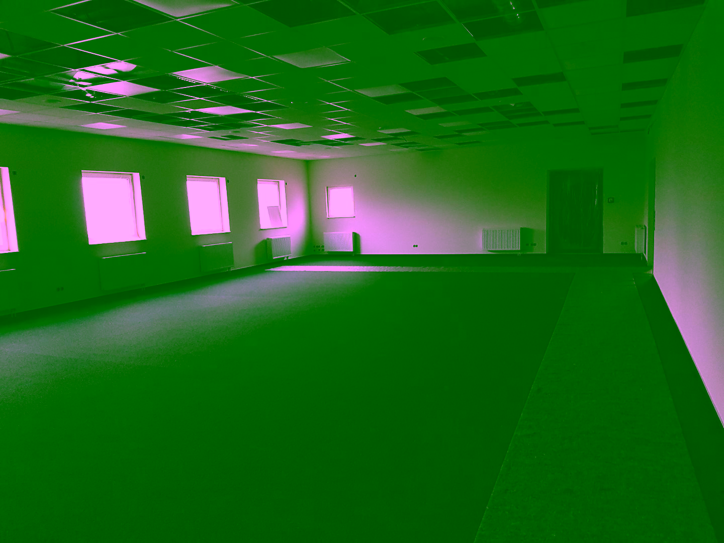 20201021_163212 (Groß)