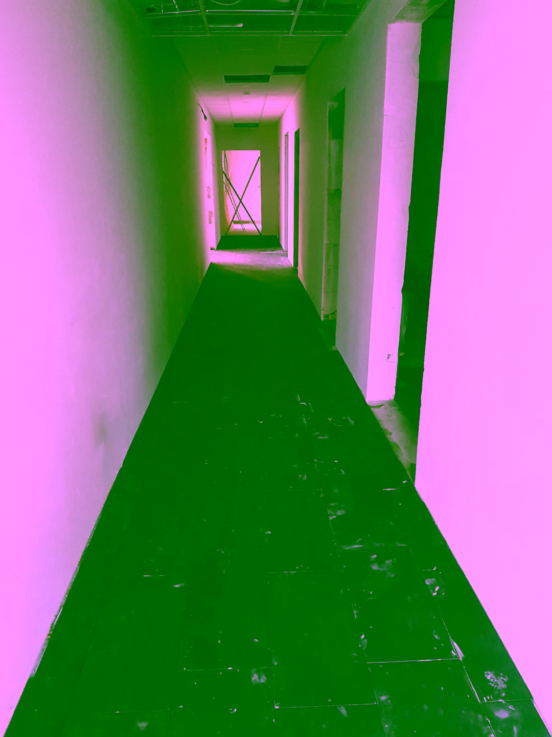 20201021_163709 (Groß)