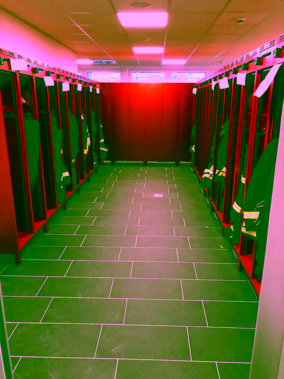 IMG-20210114-WA0014 (Groß)