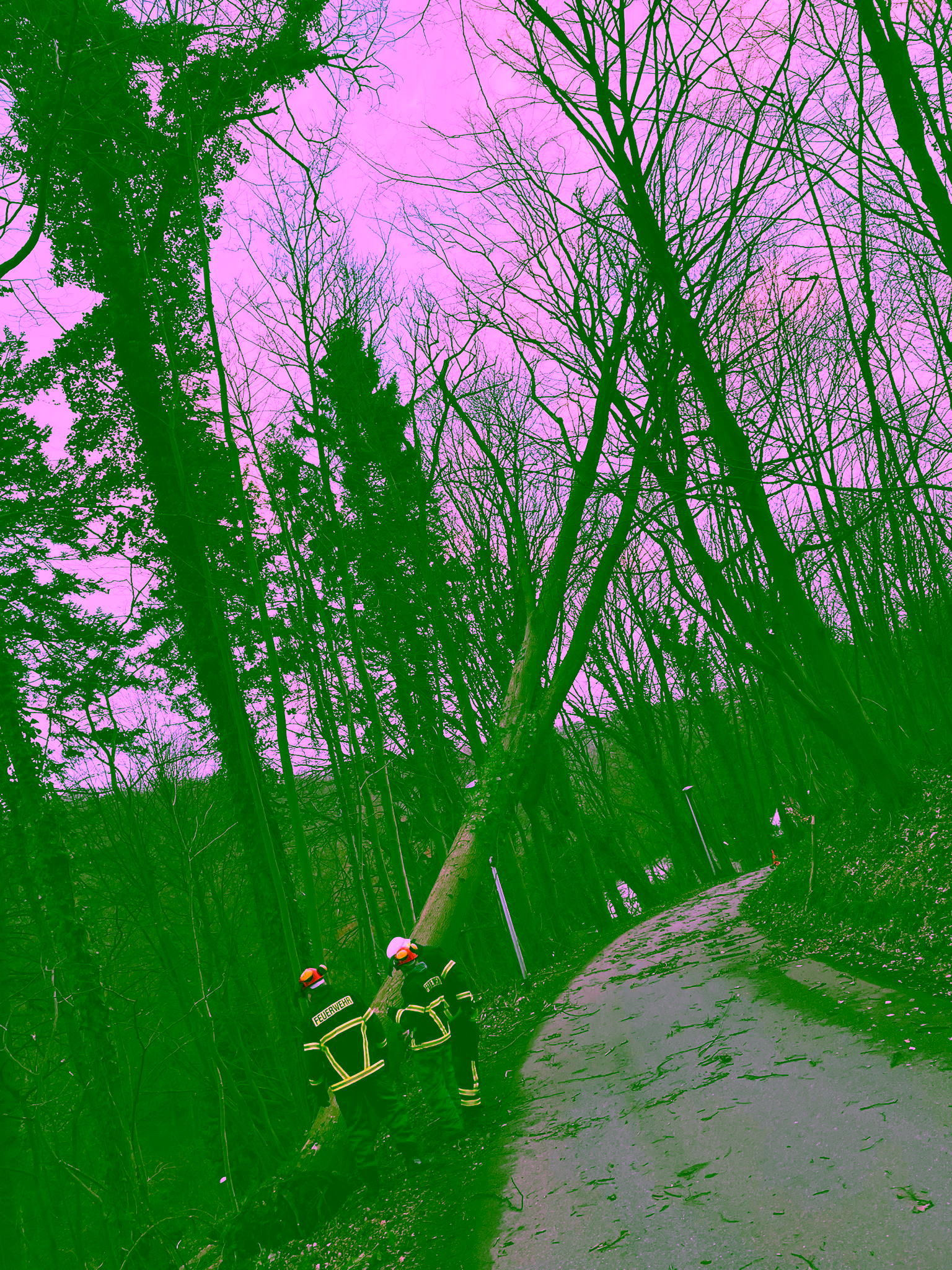 2022.01.30 018-2022 002