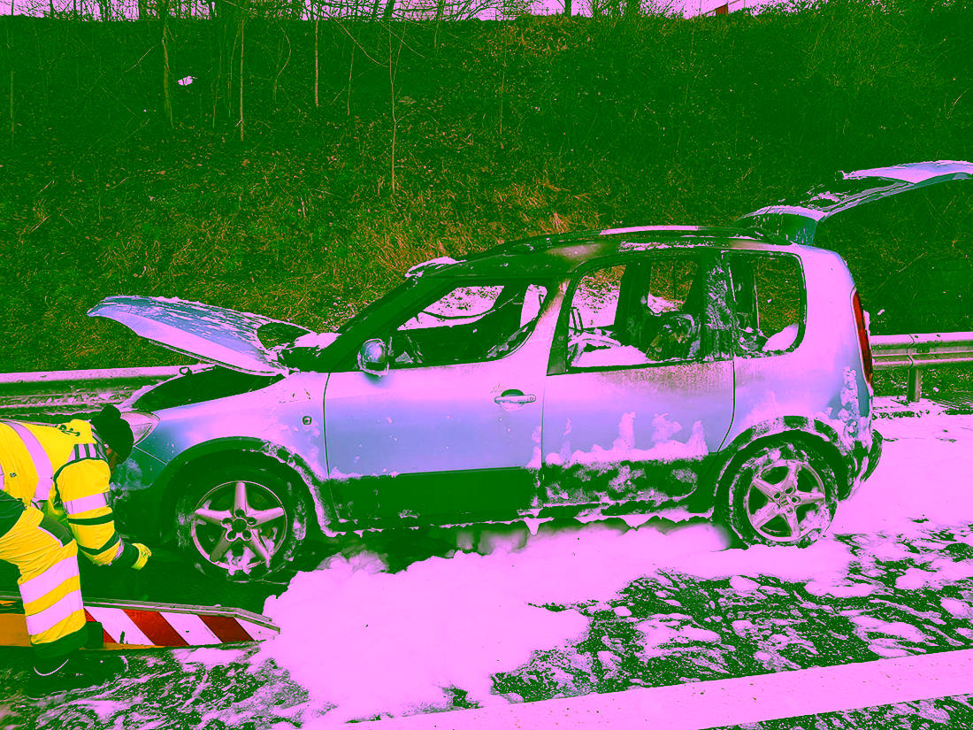 2022.02.17 031-2022 11