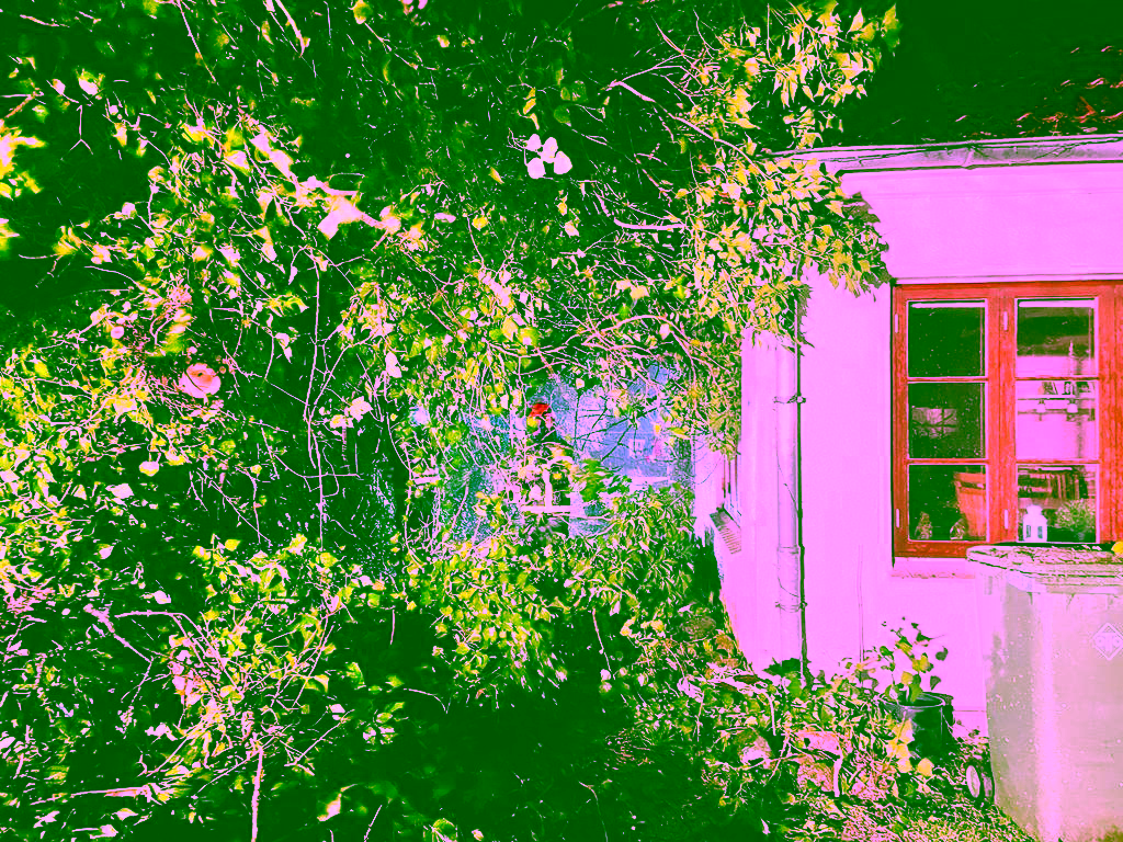 2022.02.18-19 Zeynep Einsätze 08