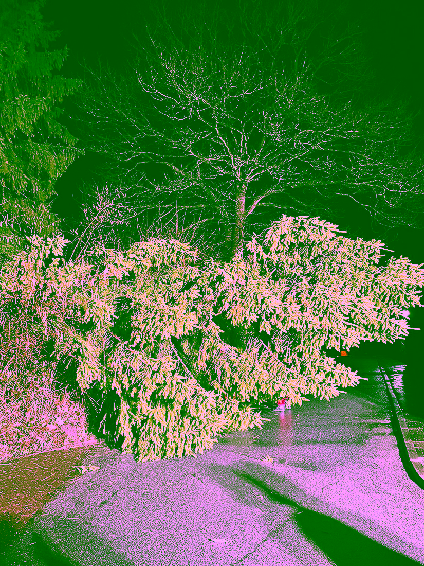 2022.02.18-19 Zeynep Einsätze 19