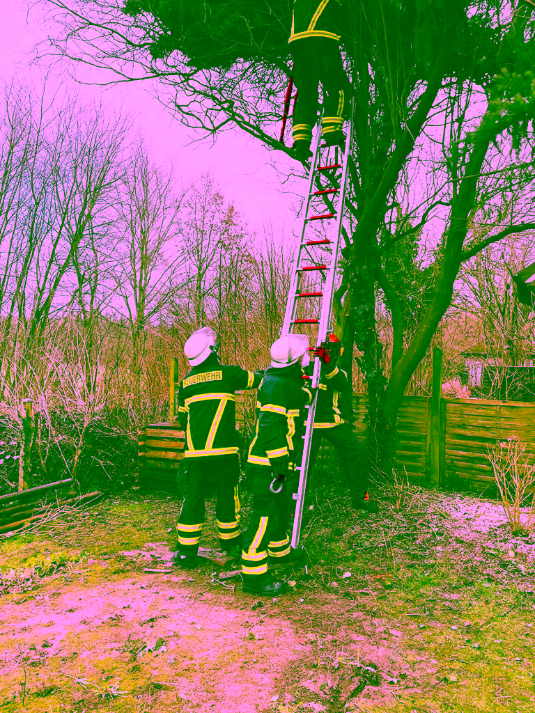 2022.02.18-19 Zeynep Einsätze 30