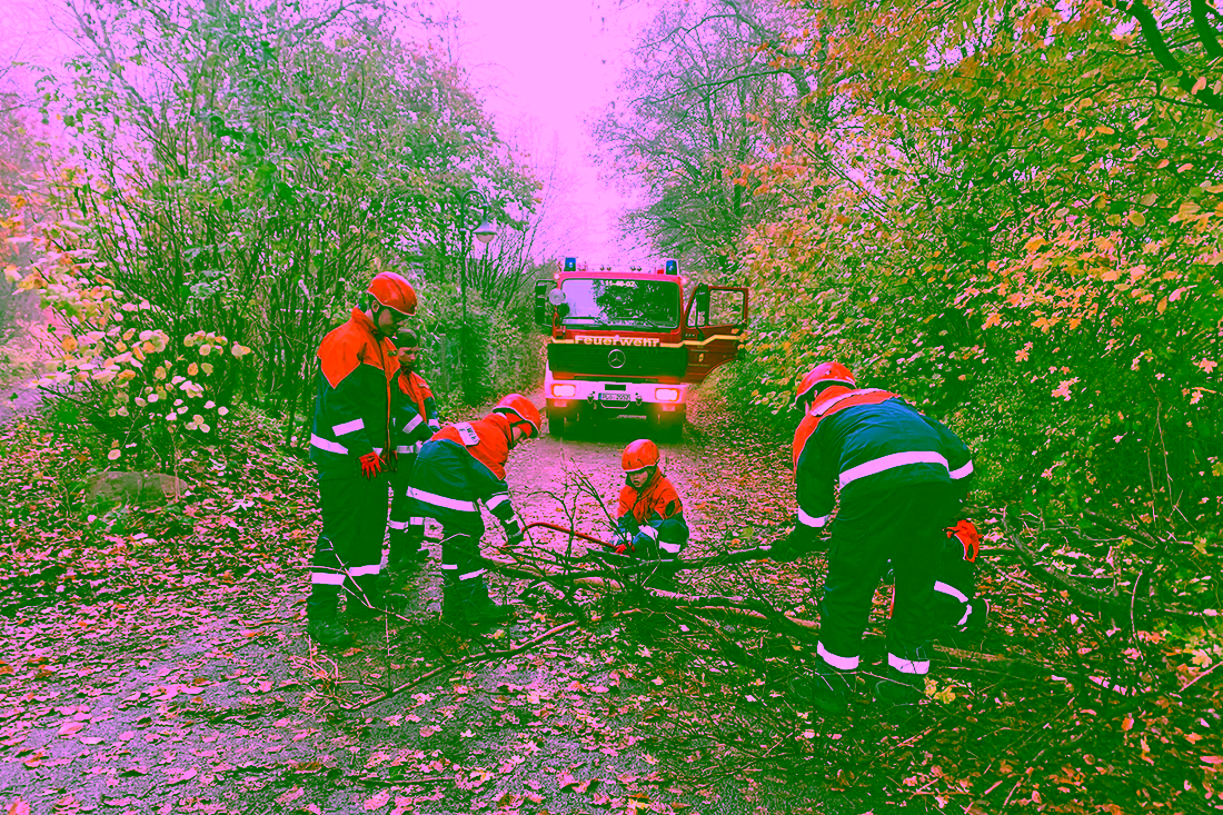 2022.11.26 Bäume auf der Straße 01