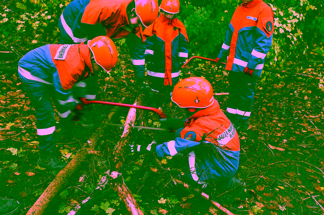 2022.11.26 Bäume auf der Straße 02